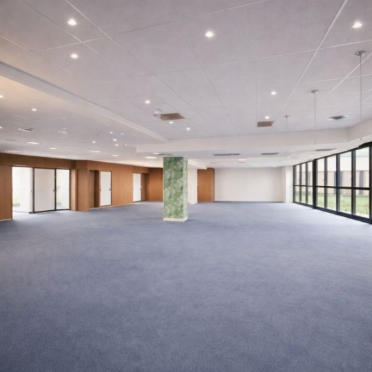  Annonces VILLEPINTE : Local / Bureau | SAINT-DENIS (93200) | 425 m2 | 4 250 &euro; 